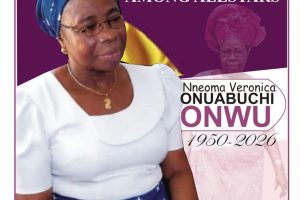 NNEOMA ANGEL AMONG ALLSTARS A BIOGRAPHY OF NNEOMA VERONICA ONUABUCHI ONWU (1950 – 2026)