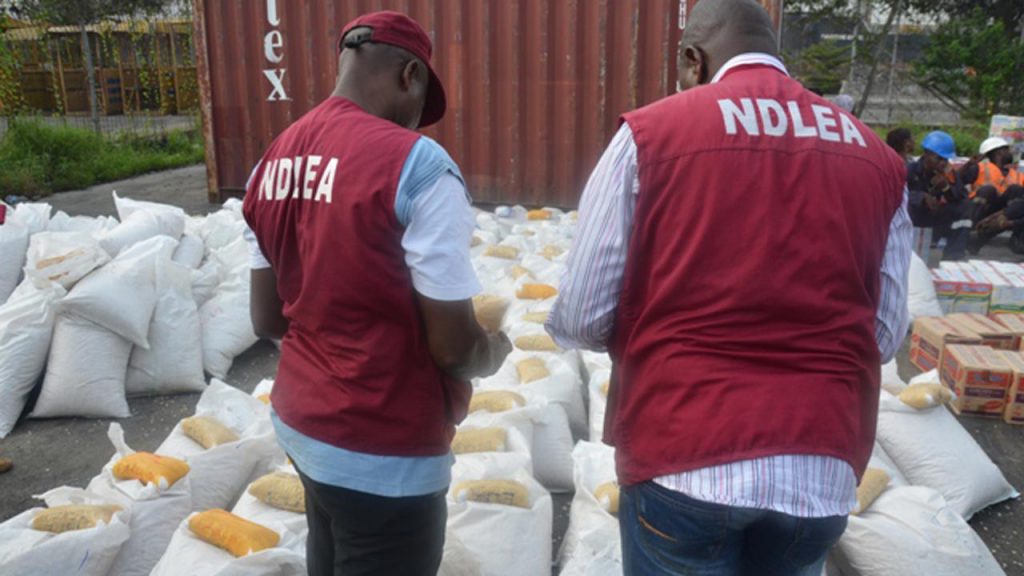 NDLEA Recovers 63,767.3kg Indian Hemp, 82,320 Pills Of Illicit Drugs in 8 States