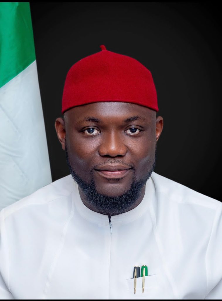 Nkwerre Lawmaker, Chisom Ojukwu Weeps Over Erosion Menace In His Constituency