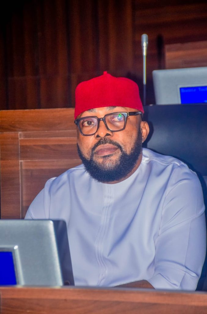 Aboh Mbaise Lawmaker, Hon Princewill Amuchie Exposes Health Dangers Of  Styrofoam