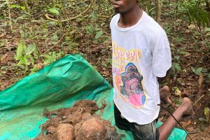 Orsu-Obodo Oguta Leaders Laud Governor Hope Uzodimma Over Anti-Insecurity Drive, As New Imo CP, Audu Bosso Parades 15 Suspects, Displays Recovered Arms, Human Skulls