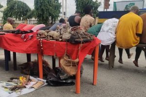  Imo Police  Makes Big Haul Again, parades  additional seven notorious kidnappers responsible for terrorising Avu, Umuguma, Nekede, Ihiagwa, Eziobodo, Umuapu and the environs.  …Eight members of Vikings, a known cult group, others in cult 